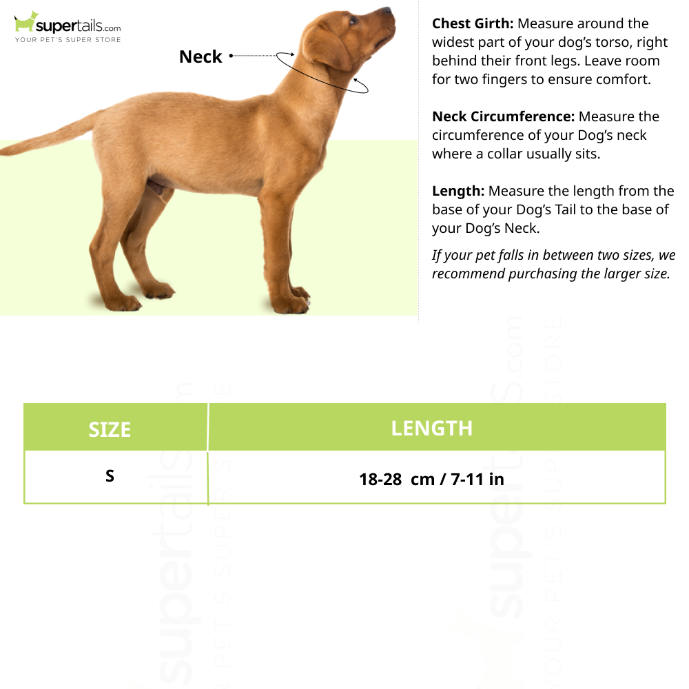 Basil Printed Collar for Cats & Puppies (Purple) - Image 3