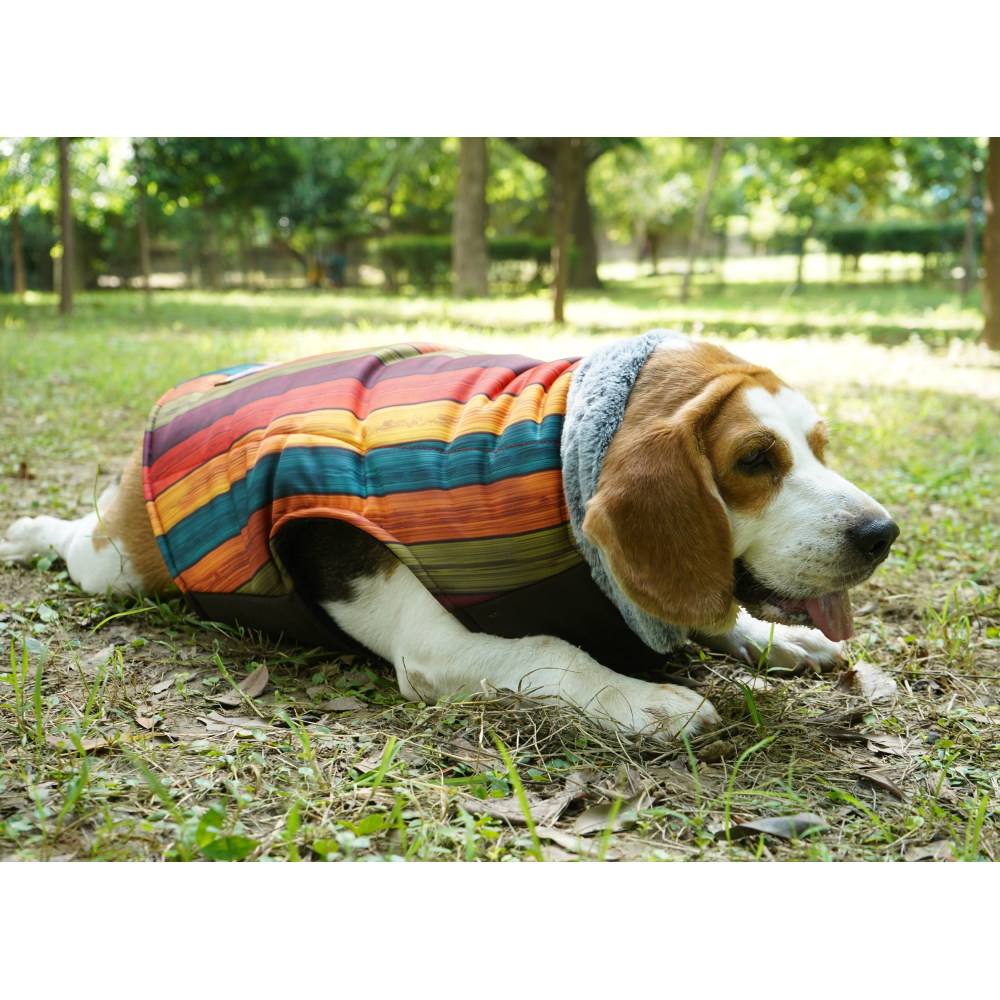 Up4pets Autumn Stripe Polyester Fleece Jackets for Dogs and Cats - Image 5