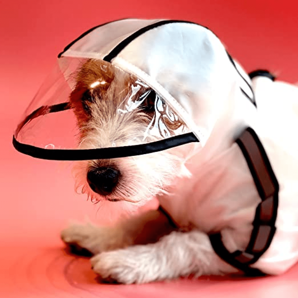 Barkbutler x Fofos Four Leg Black Raincoat for Dogs (Button Up Style) - Image 7