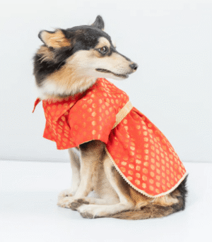 Pawgypets Occasion Wear Dress for Dogs and Cats (Red)