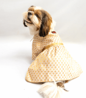 Pawgypets Occasion Wear Dress for Dogs and Cats (White)
