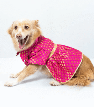 Pawgypets Occasion Wear Dress for Dogs and Cats (Pink)