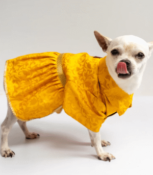 Pawgypets Occasion Wear Dress for Dogs and Cats (Yellow)