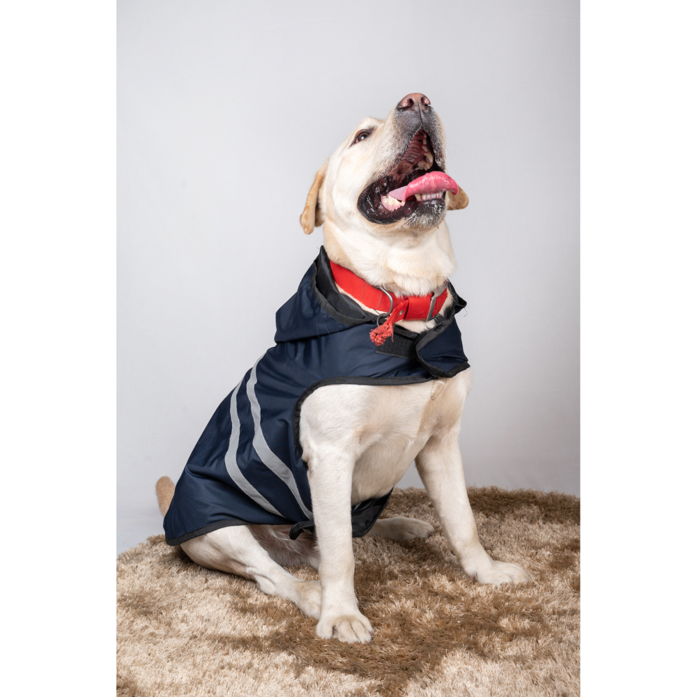 Petsnugs Reflective Waterproof Raincoat for Dogs and Cats (Blue) - Image 4