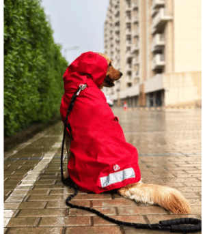 The Drizzle Deflector - Adjustable & Reflective Raincoat for Dogs by Lana Paws (Red Solid)