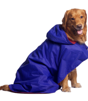 Pet Set Go Cape Style Raincoat for Dogs (Blue)