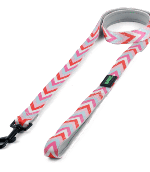 Basil Printed Leash for Dogs and Cats (Pink)