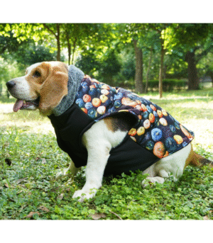 Up4pets Pumpkin Spice Polyester Fleece Jackets for Dogs and Cats