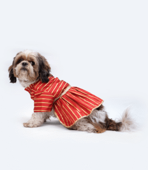 Pawgypets Occasion Wear Gota Dress for Dogs and Cats (Red)