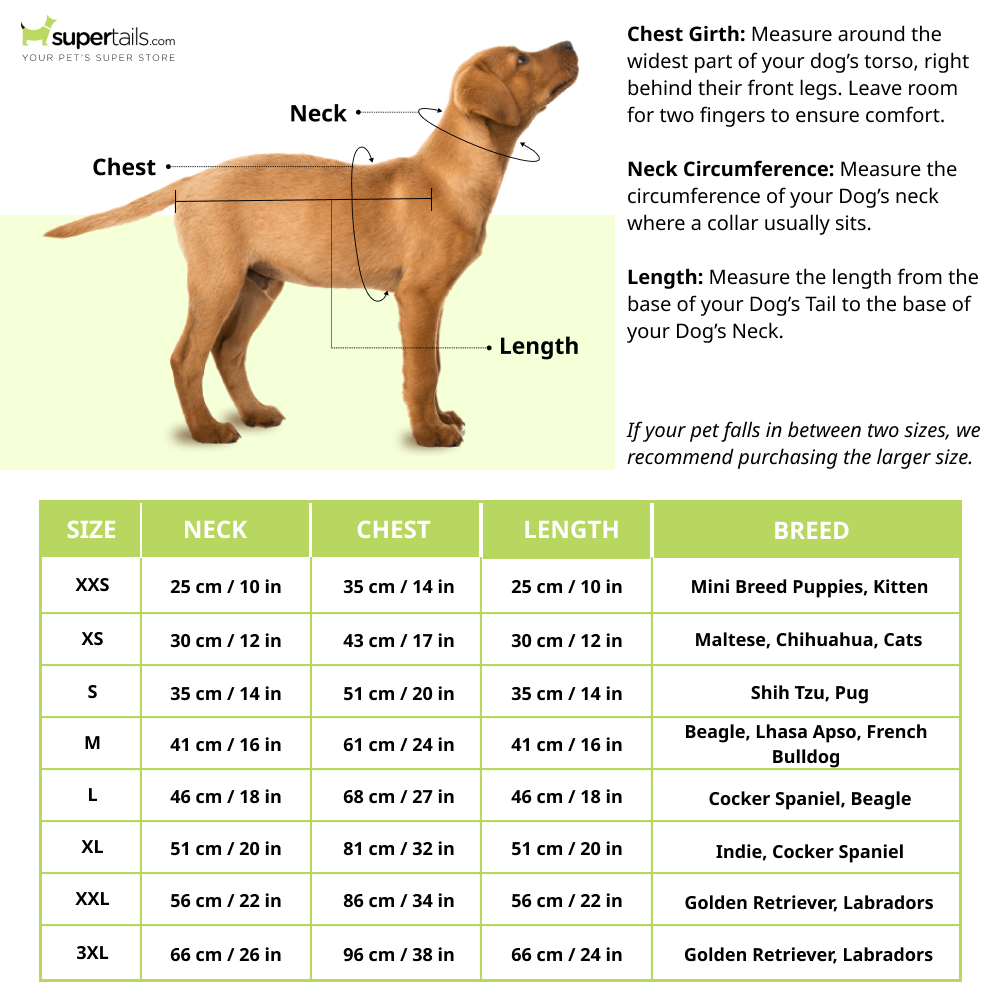 Pawgypets Sherwani for Dogs and Cats (Yellow) - Image 6