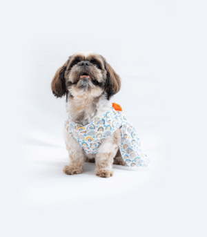 Pawgypets Rainbow Casual Dress for Dogs and Cats
