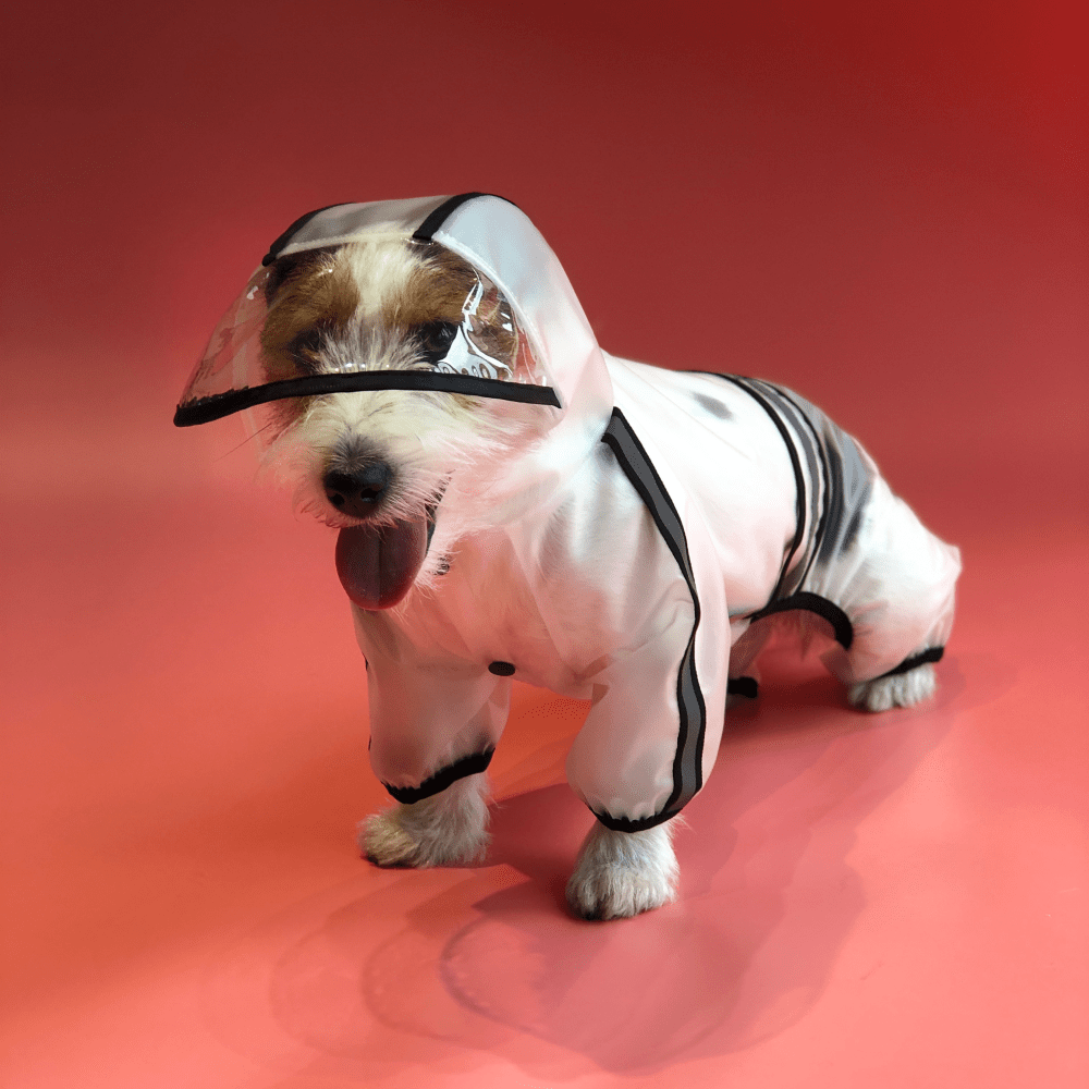 Barkbutler x Fofos Four Leg Black Raincoat for Dogs (Button Up Style)